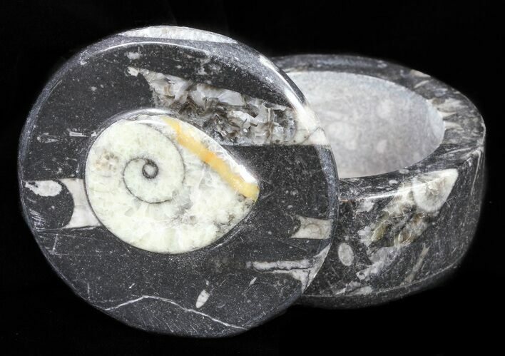 Small Fossil Goniatite Jar (Black) - Stoneware #60097